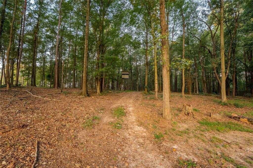 195 Sims Farm Way Maysville, GA 30558 - Photo 45 of 58 a backyard of a house with lots of green space