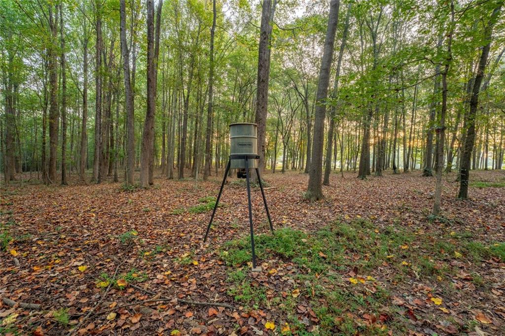 195 Sims Farm Way Maysville, GA 30558 - Photo 47 of 58