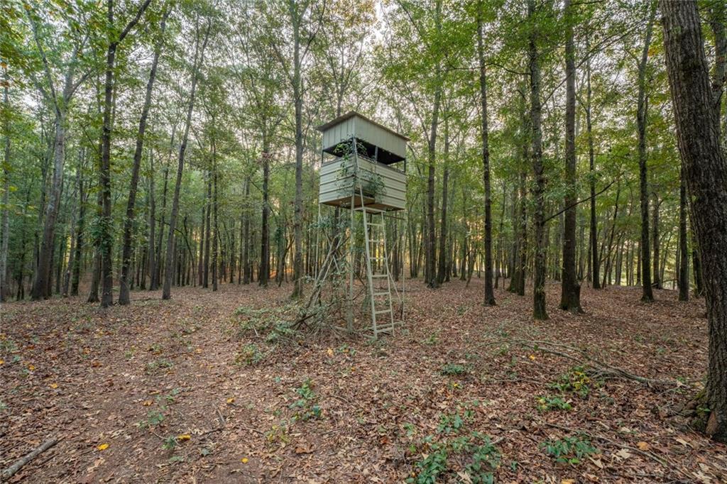 195 Sims Farm Way Maysville, GA 30558 - Photo 48 of 58