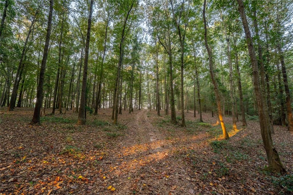 195 Sims Farm Way Maysville, GA 30558 - Photo 49 of 58