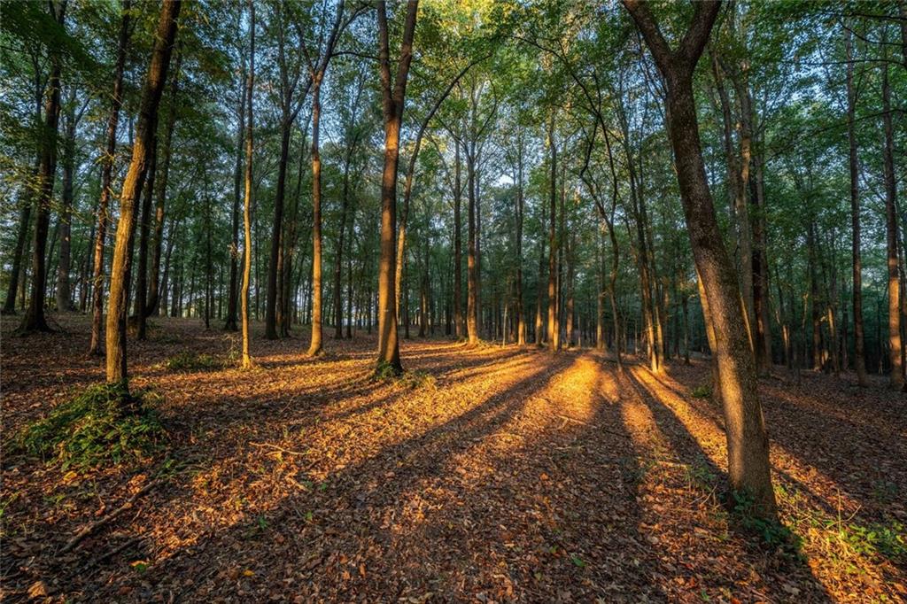 195 Sims Farm Way Maysville, GA 30558 - Photo 50 of 58