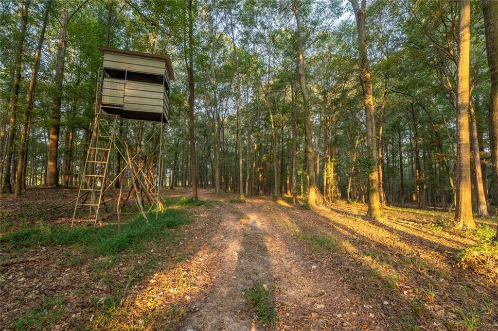 195 Sims Farm Way Maysville, GA 30558 - Photo 52 of 58