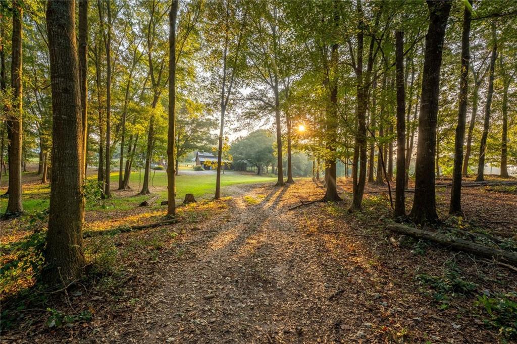 195 Sims Farm Way Maysville, GA 30558 - Photo 53 of 58