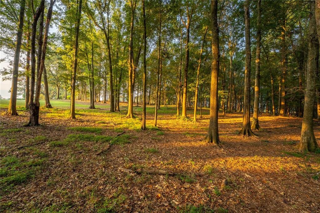 195 Sims Farm Way Maysville, GA 30558 - Photo 54 of 58