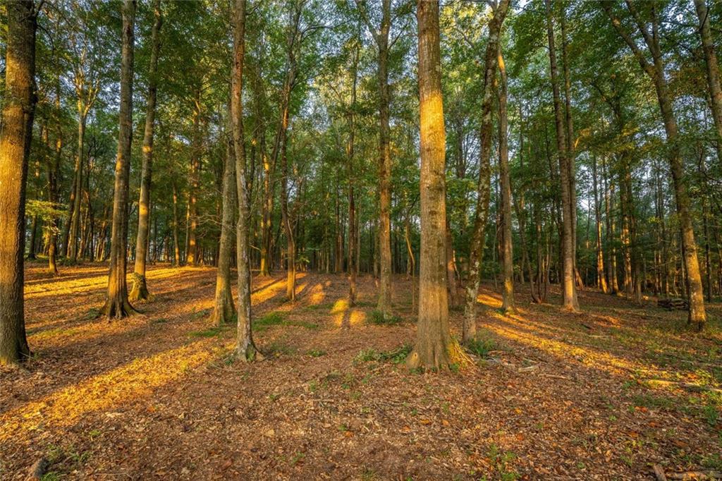 195 Sims Farm Way Maysville, GA 30558 - Photo 55 of 58