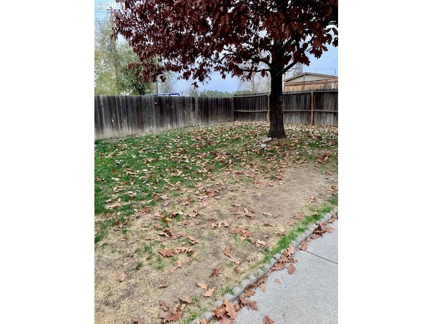 807 Southwest 14th Street Pendleton, OR 97801 - Photo 14 of 17 a view of a large tree with a yard
