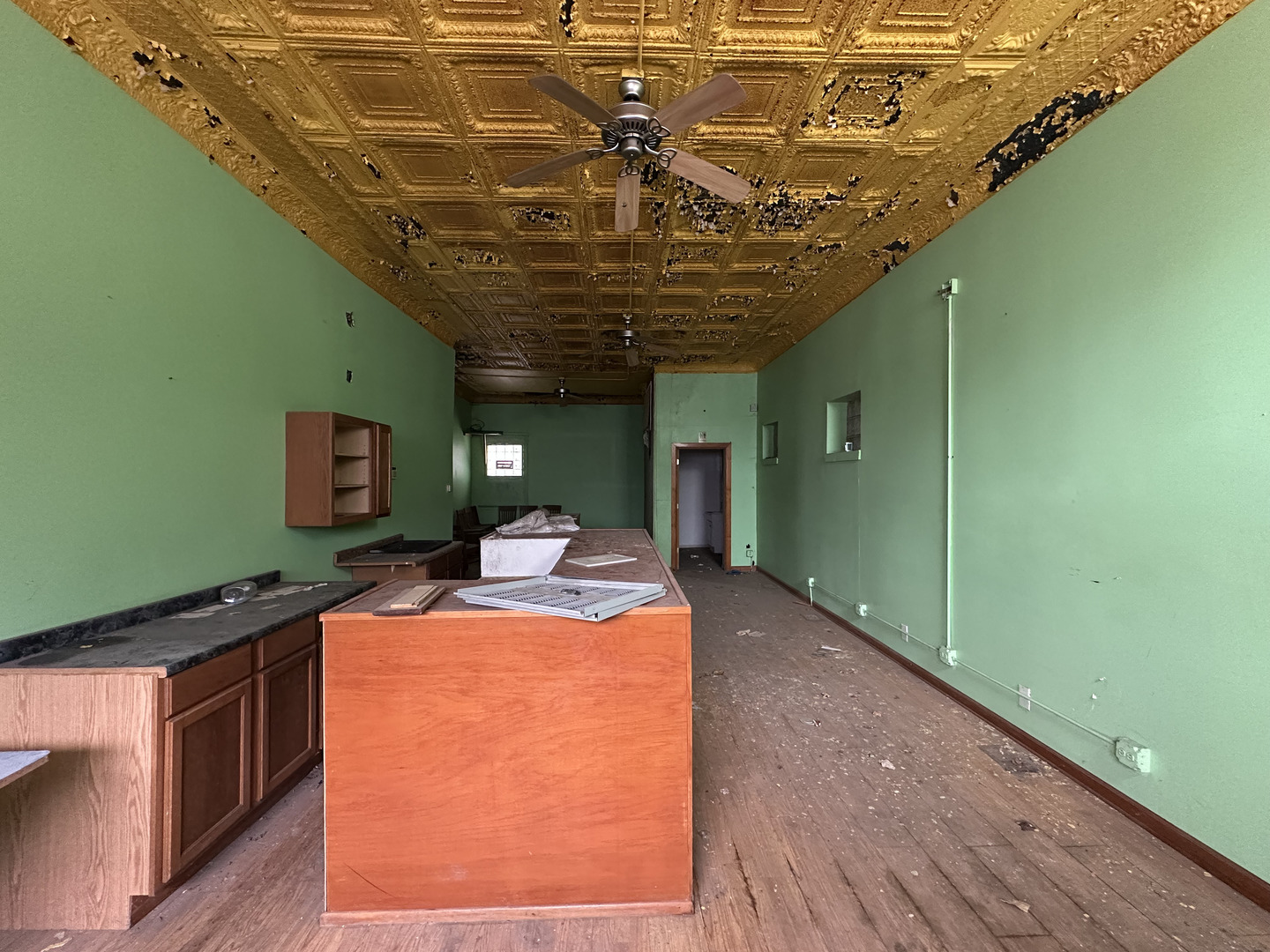 350 East 115th Street Chicago, IL 60628 - Photo 7 of 25