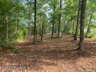 Lot 27 Treasure Point Road Bath, NC 27808 - Photo 17 of 22 IMG_0336
