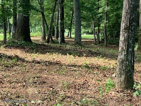Lot 27 Treasure Point Road Bath, NC 27808 - Photo 20 of 22 IMG_0339