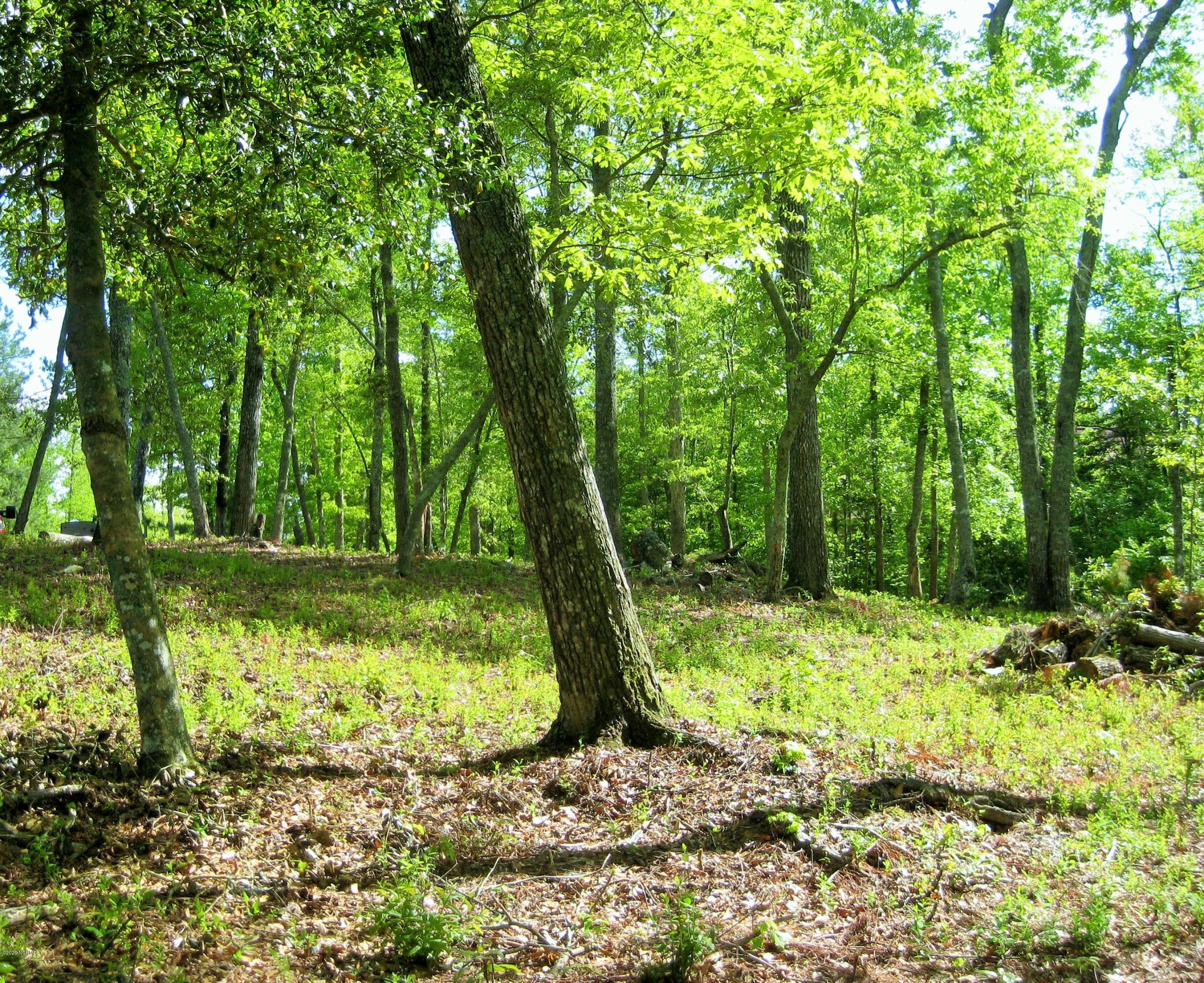 Lot 27 Treasure Point Road Bath, NC 27808 - Photo 7 of 22 006