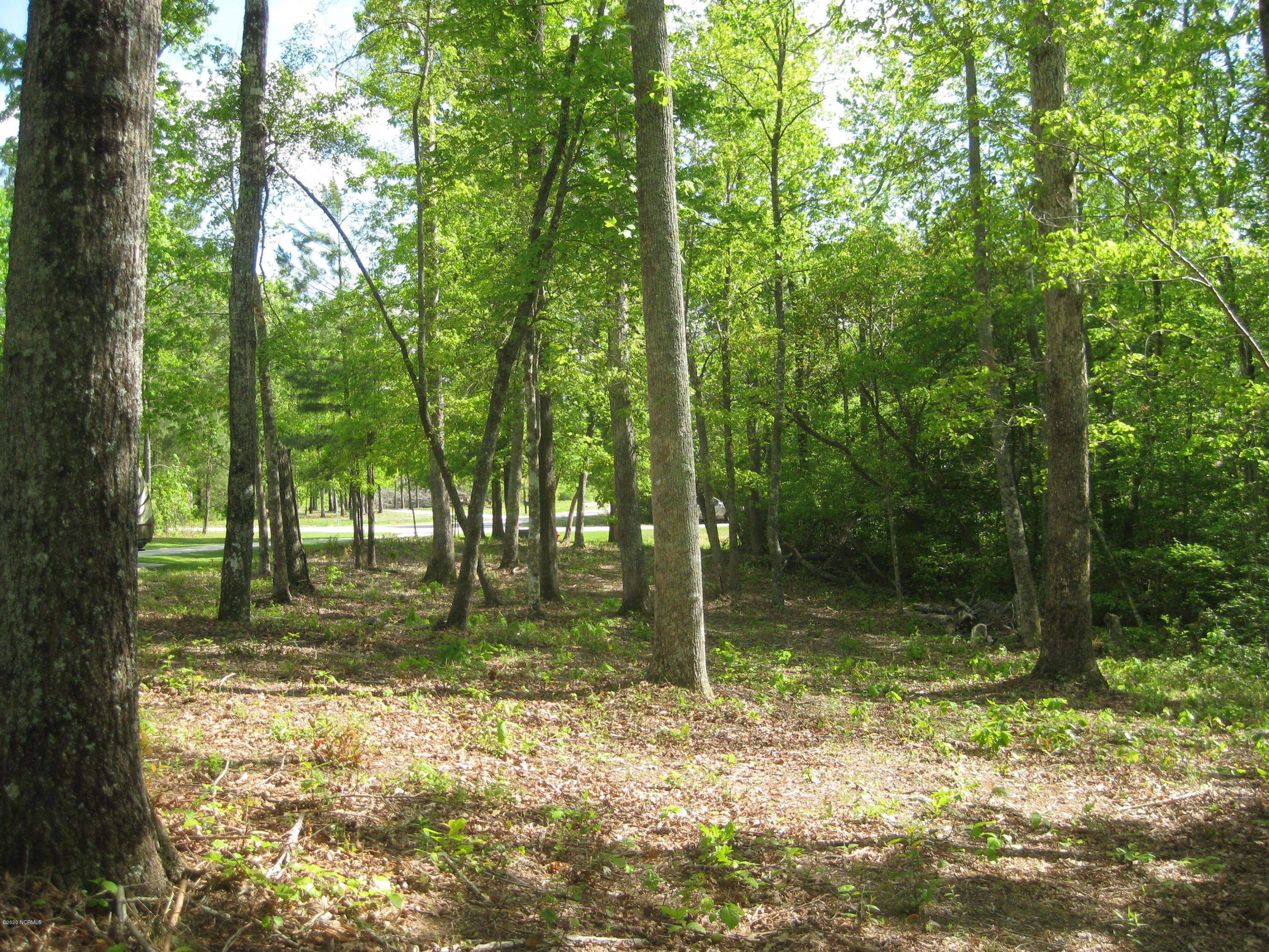 Lot 27 Treasure Point Road Bath, NC 27808 - Photo 8 of 22 007