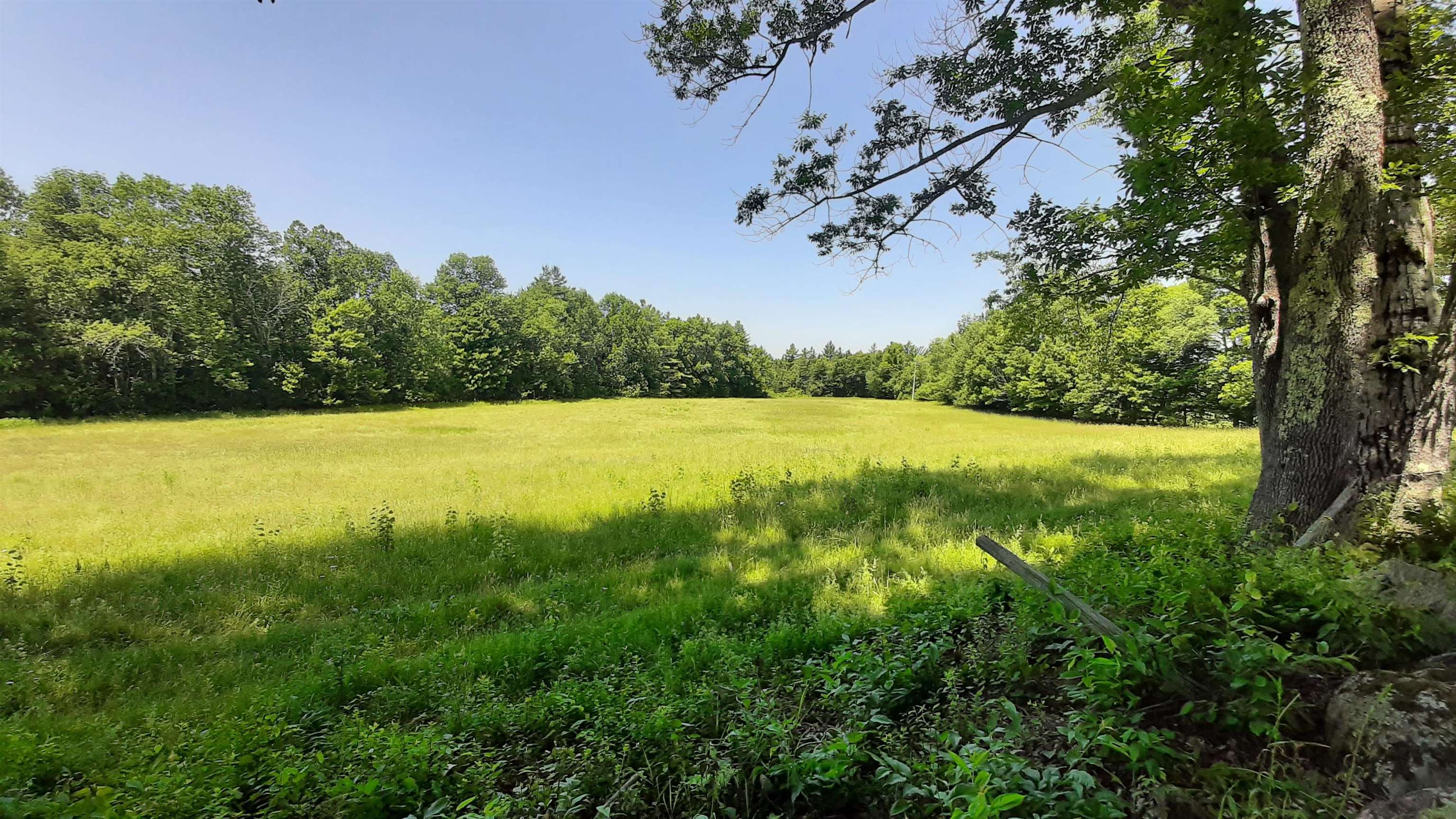 929 Packer Road Mount Holly, VT 05742 - Photo 49 of 58