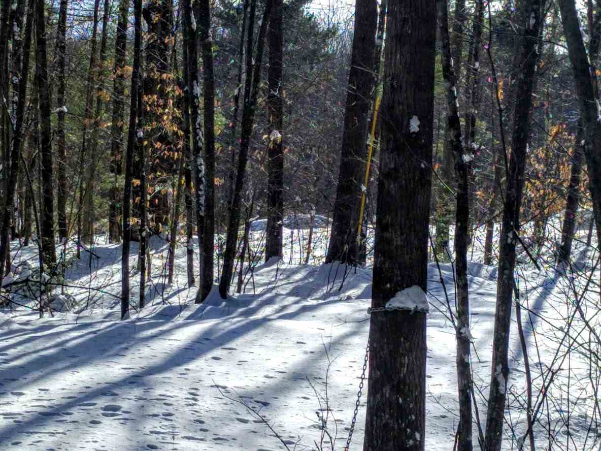 520 Old Spofford Road Winchester, NH 03470 - Photo 1 of 5