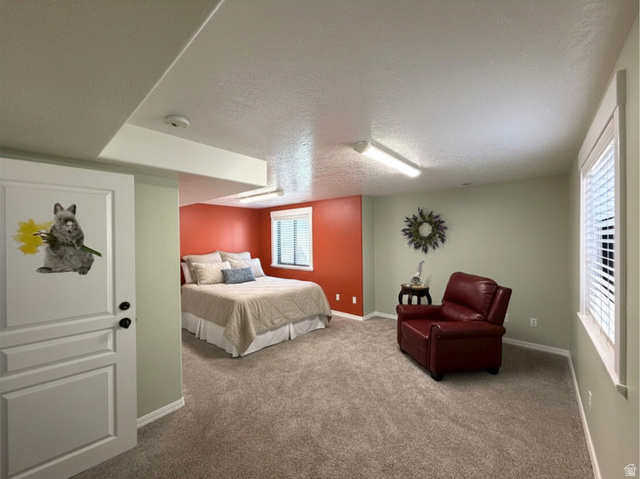 202 375 West Providence, UT 84332 - Photo 22 of 61 Spacious carpeted bedroom with a generous amount of light and storage