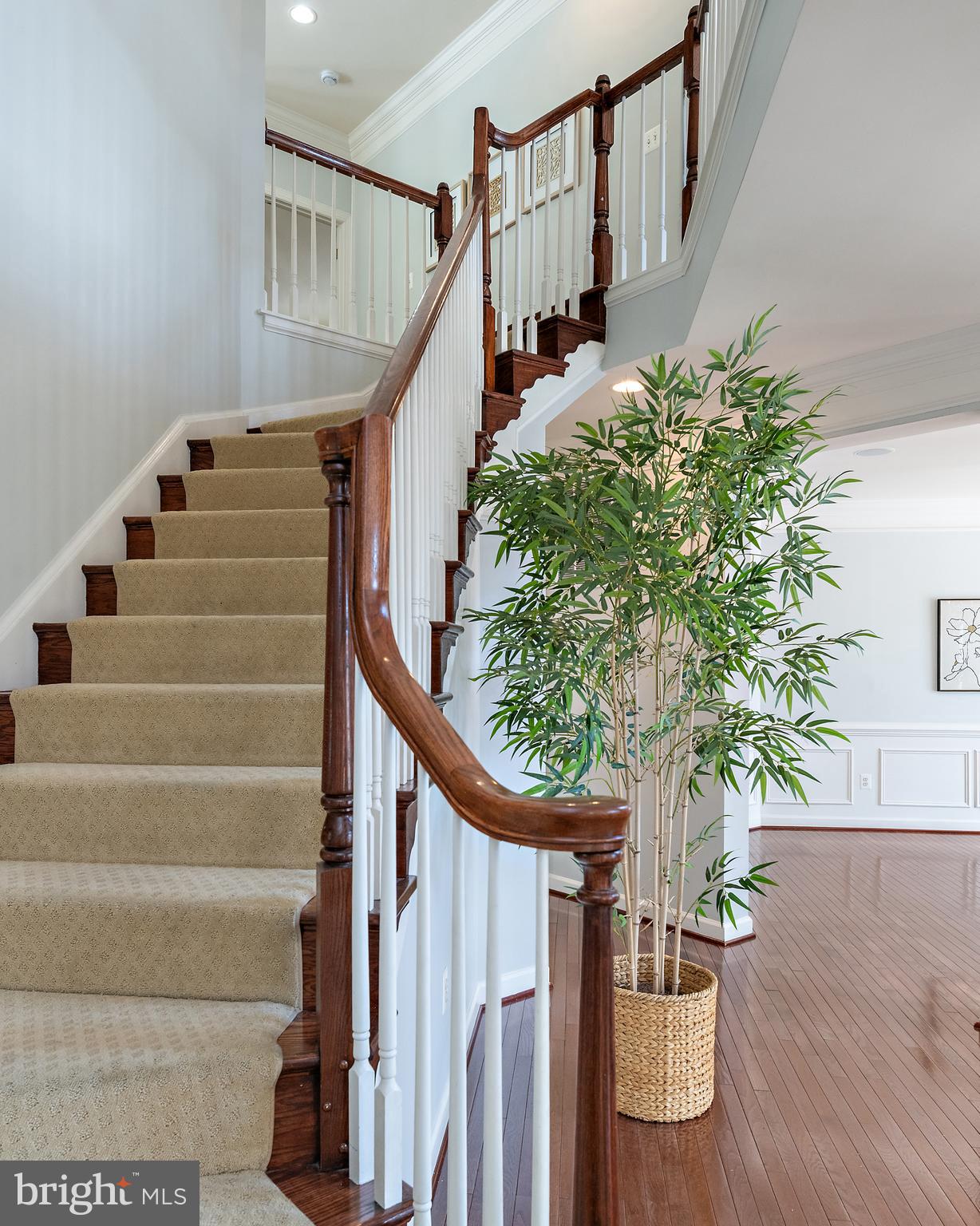 726 Pearson Point Annapolis, MD 21401 - Photo 34 of 86 Interior