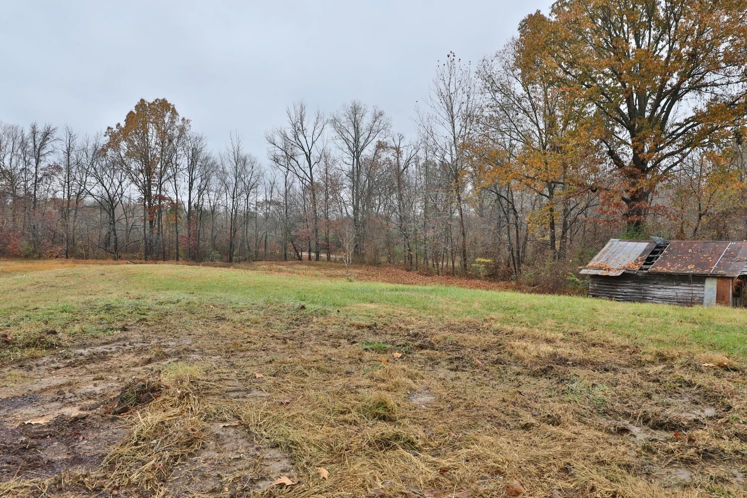309 Hearn Road Greenfield, TN 38230 - Photo 11 of 13 Photo 11