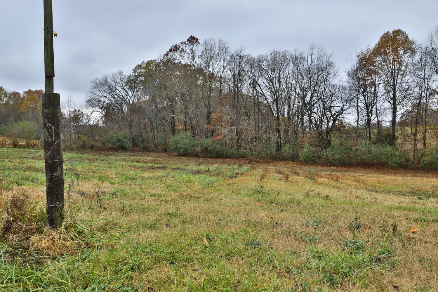 309 Hearn Road Greenfield, TN 38230 - Photo 12 of 13 Photo 12