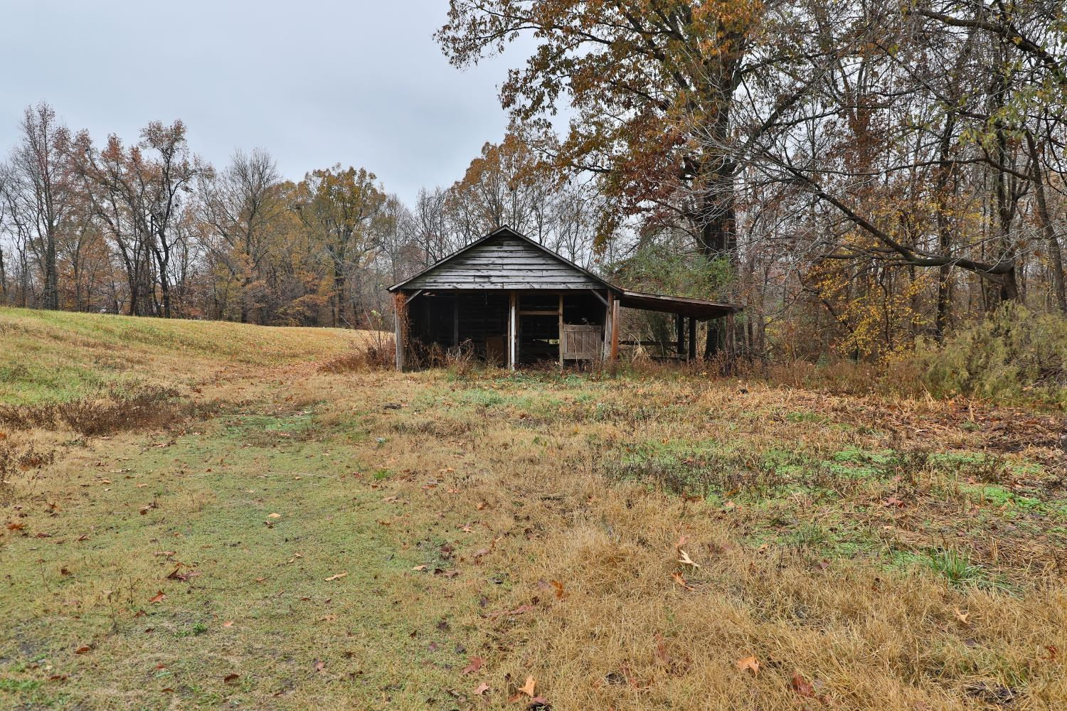 309 Hearn Road Greenfield, TN 38230 - Photo 7 of 13 Photo 7