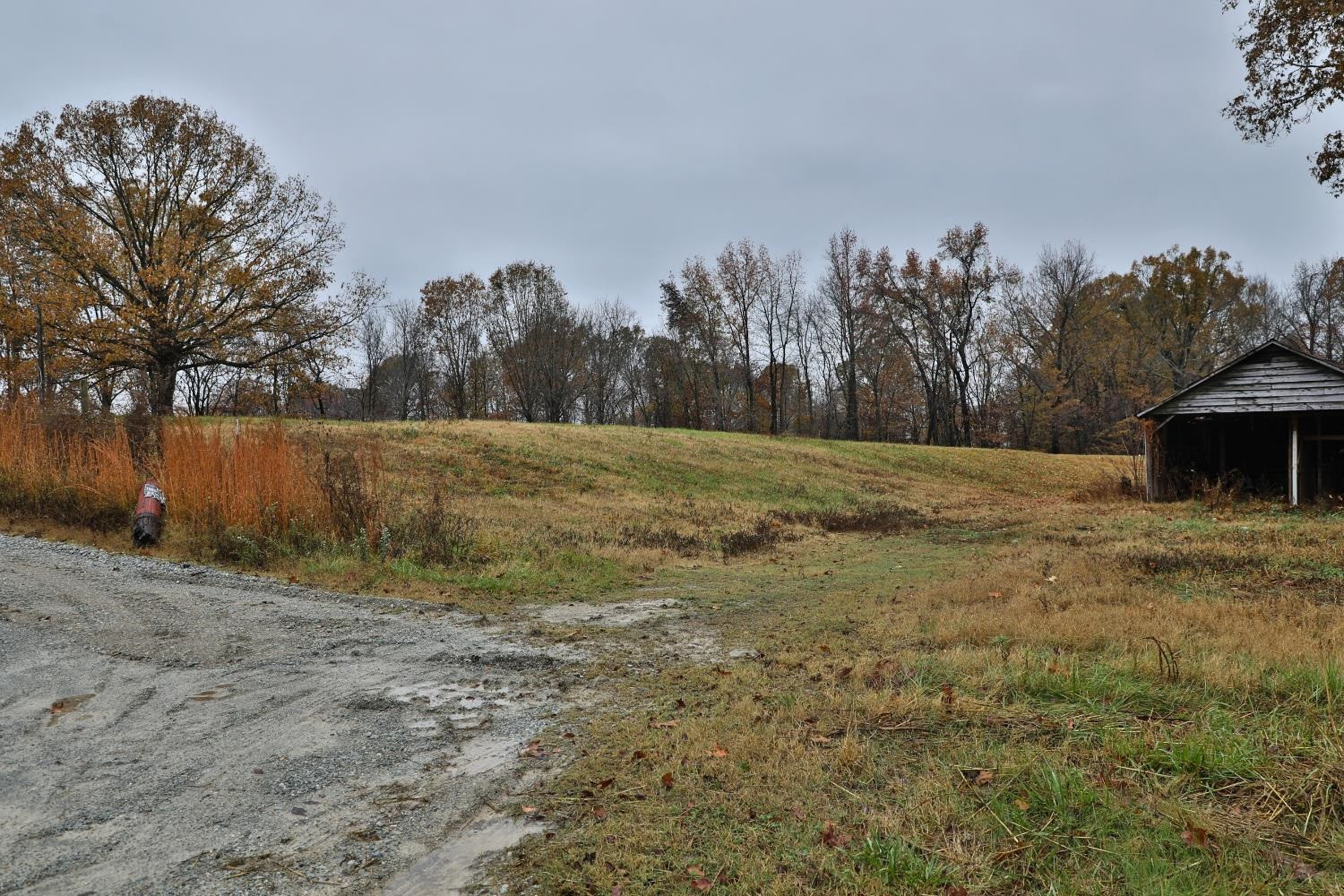 309 Hearn Road Greenfield, TN 38230 - Photo 8 of 13 Photo 8