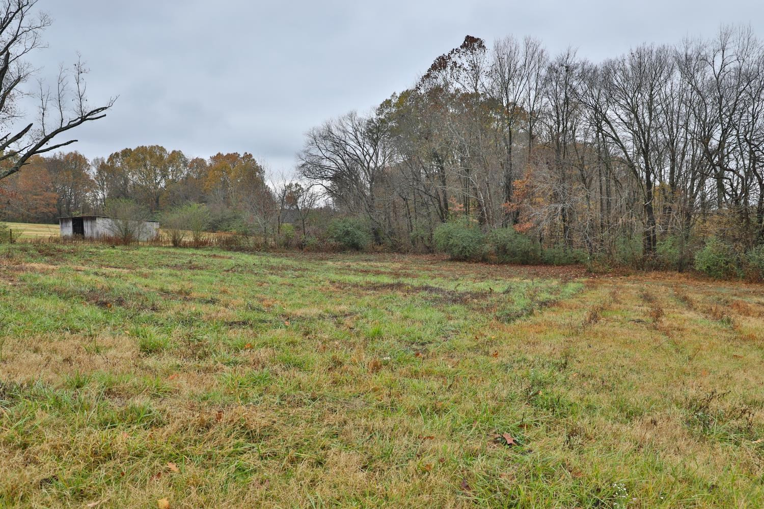 309 Hearn Road Greenfield, TN 38230 - Photo 9 of 13 Photo 9