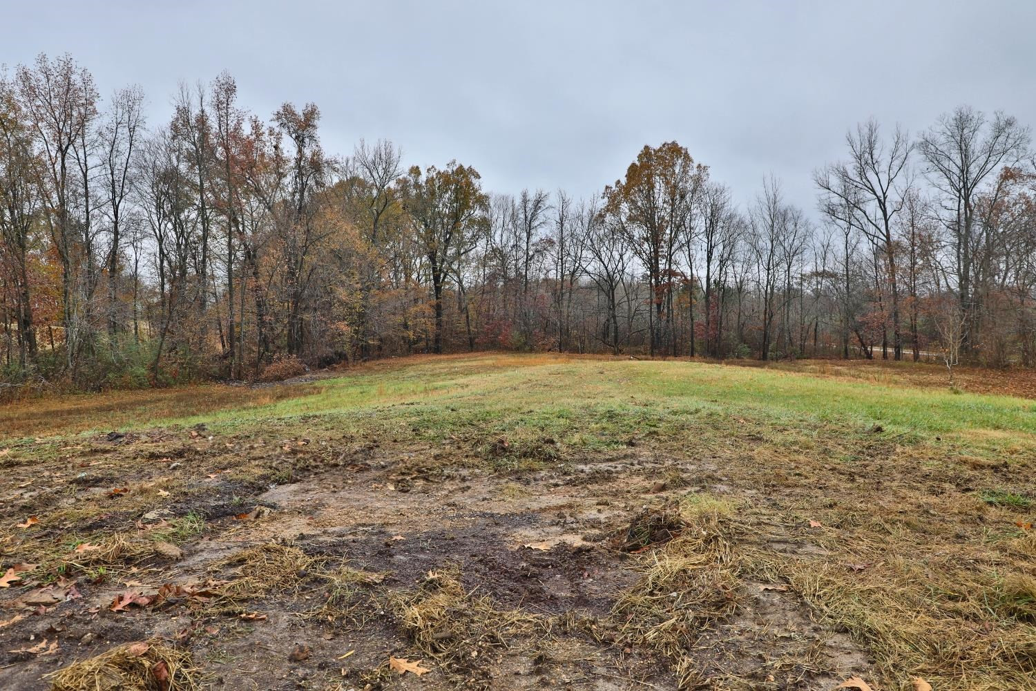 309 Hearn Road Greenfield, TN 38230 - Photo 10 of 13 Photo 10