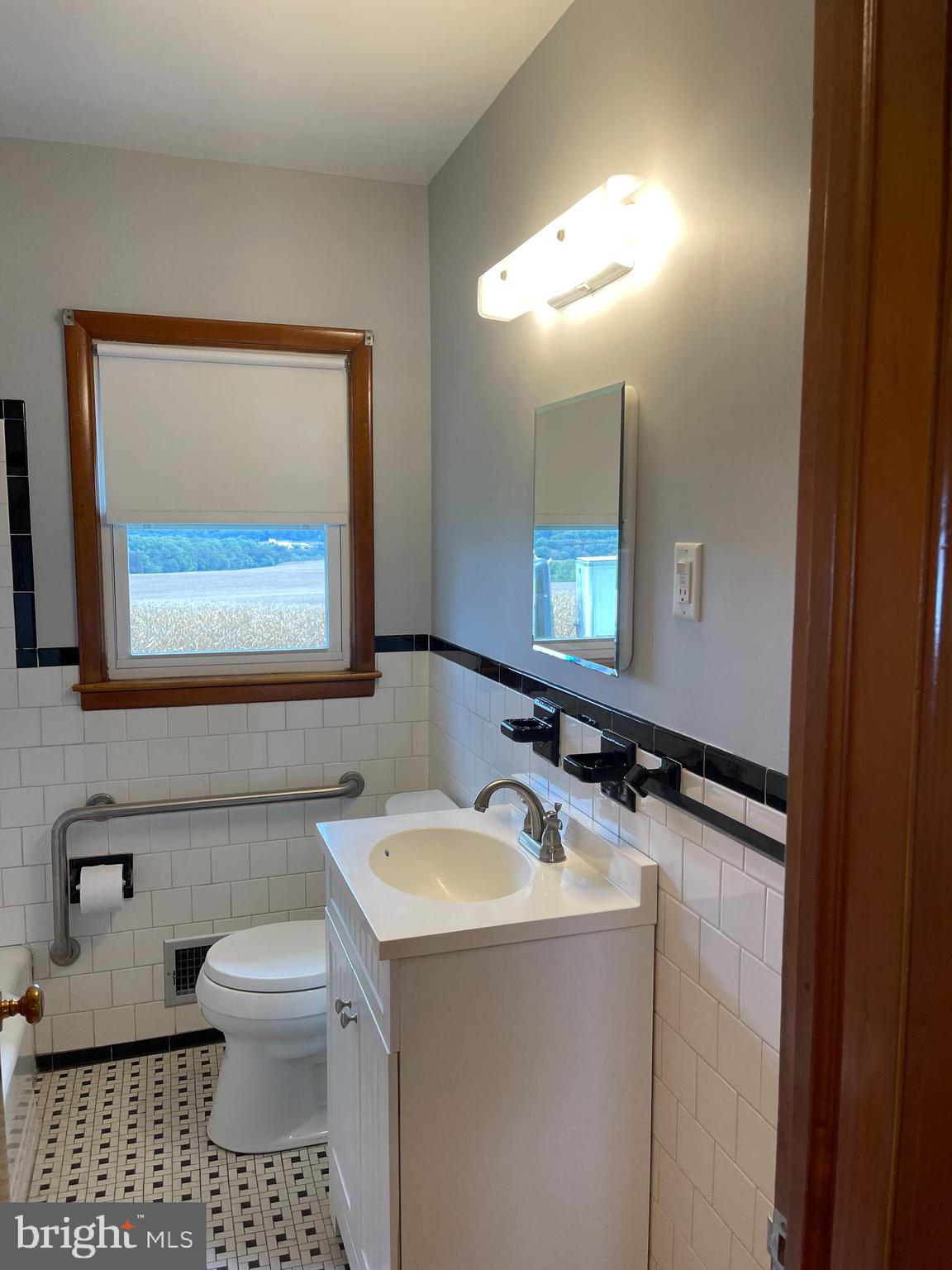 1670 Florence Road Mount Airy, MD 21771 - Photo 17 of 20 a bathroom with a sink toilet and mirror