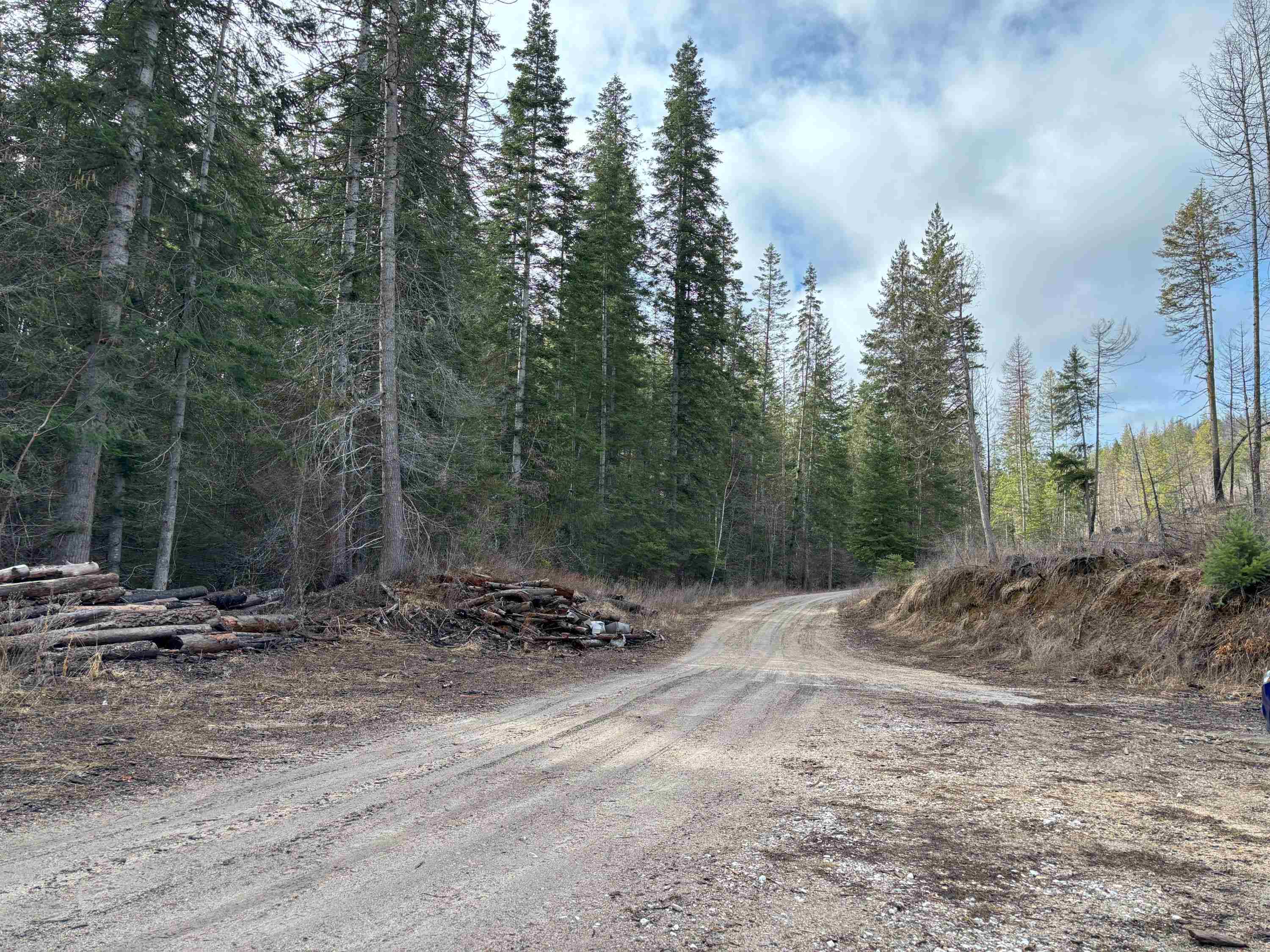 Lot 7 Rail Canyon Road Tumtum, WA 99034 - Photo 7 of 24 Gallery Image 7