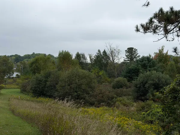 $22,000 | 0 River Woodland Trail, Gladwin, MI 48624