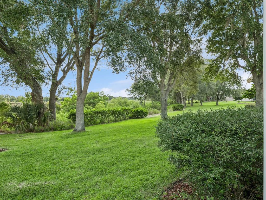 4519 Inverness Drive Leesburg, FL 34748 - Photo 36 of 73