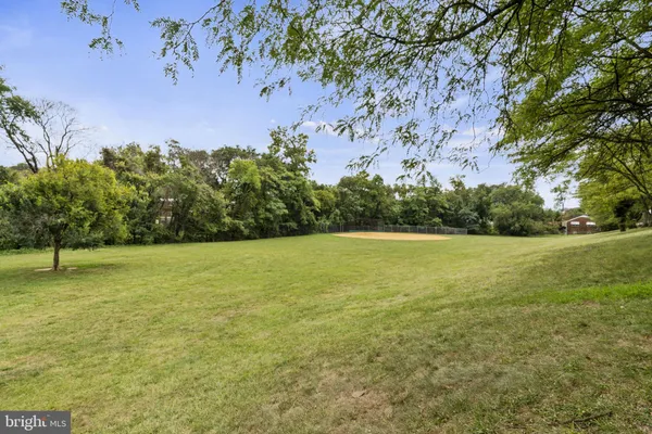 a view of a yard with a tree