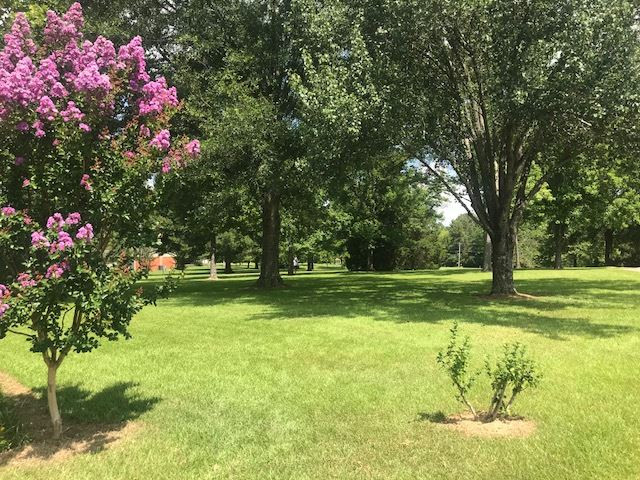 13029 Lebanon Pinegrove Road Terry, MS 39170 - Photo 15 of 43 Photo 15