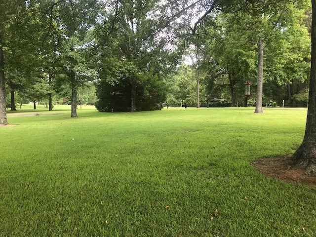13029 Lebanon Pinegrove Road Terry, MS 39170 - Photo 16 of 43 Photo 16