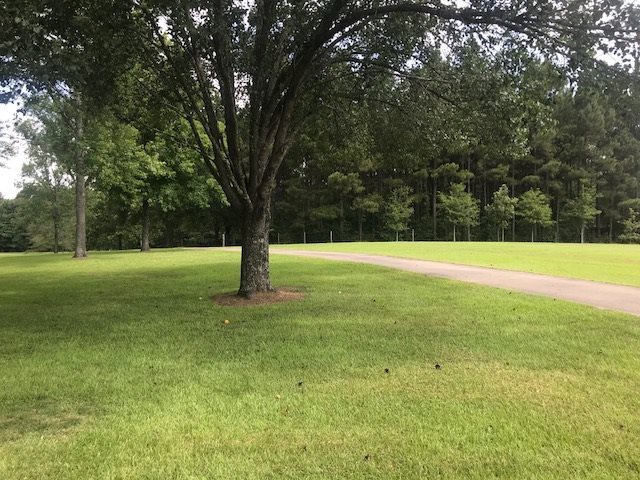 13029 Lebanon Pinegrove Road Terry, MS 39170 - Photo 6 of 43 Photo 6