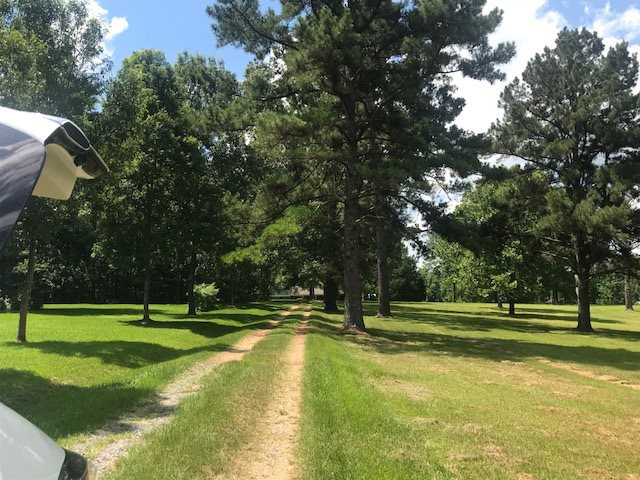 13029 Lebanon Pinegrove Road Terry, MS 39170 - Photo 10 of 43 Photo 10