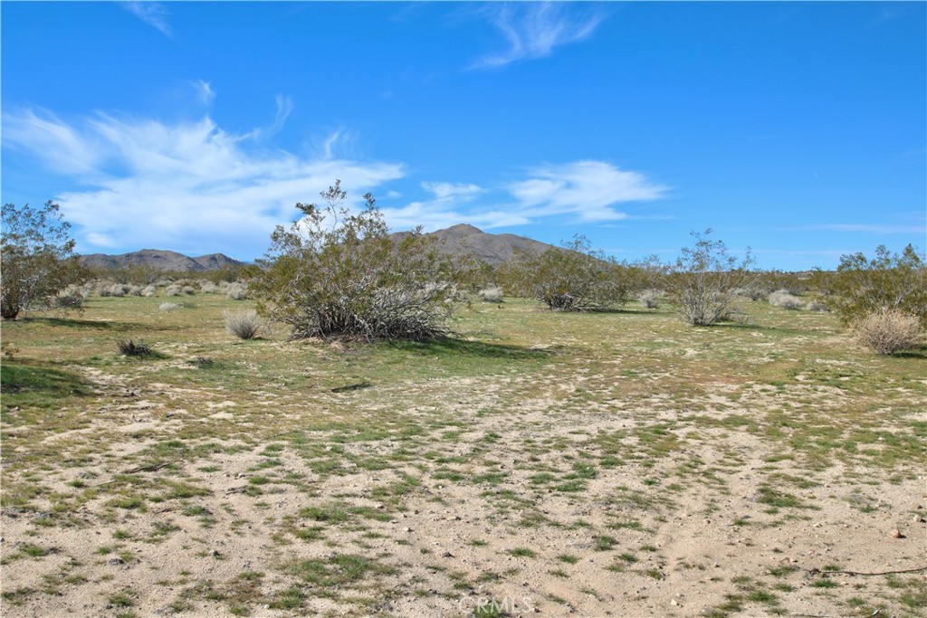 0 Sunflower Road Joshua Tree, CA 92252 - Photo 12 of 13