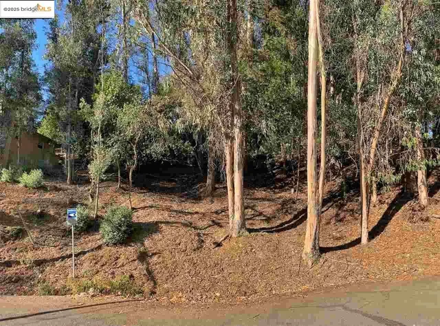a view of a backyard of the house