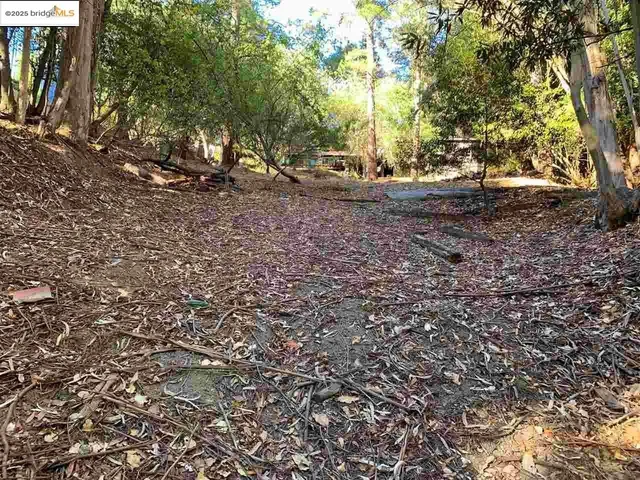 a view of a backyard with large trees
