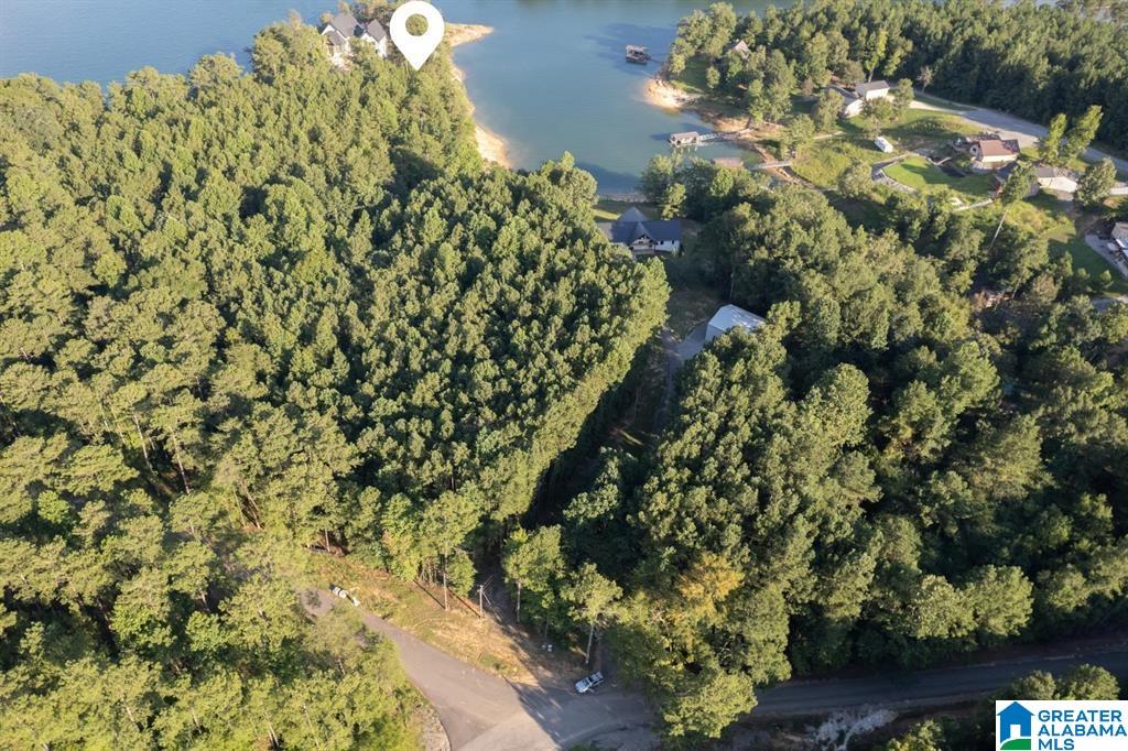 Lot A Camp Jimmy Goodwin Road, Unit LOT A Jasper, AL 35503 - Photo 10 of 13