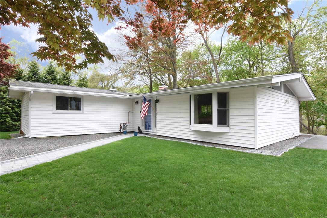 a view of a backyard with a large tree