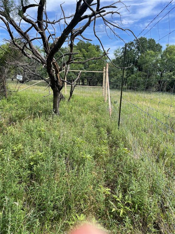 31.09-ac Hoefle Road Jacksboro, TX 76458 - Photo 18 of 33 a view of a yard with a tree