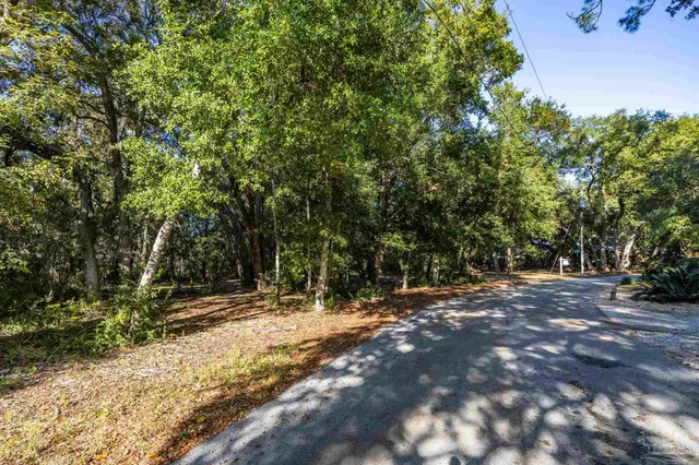 a view of a tree in the middle of a yard