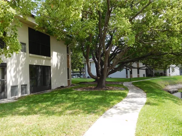 a view of a yard in front of a house with a large tree