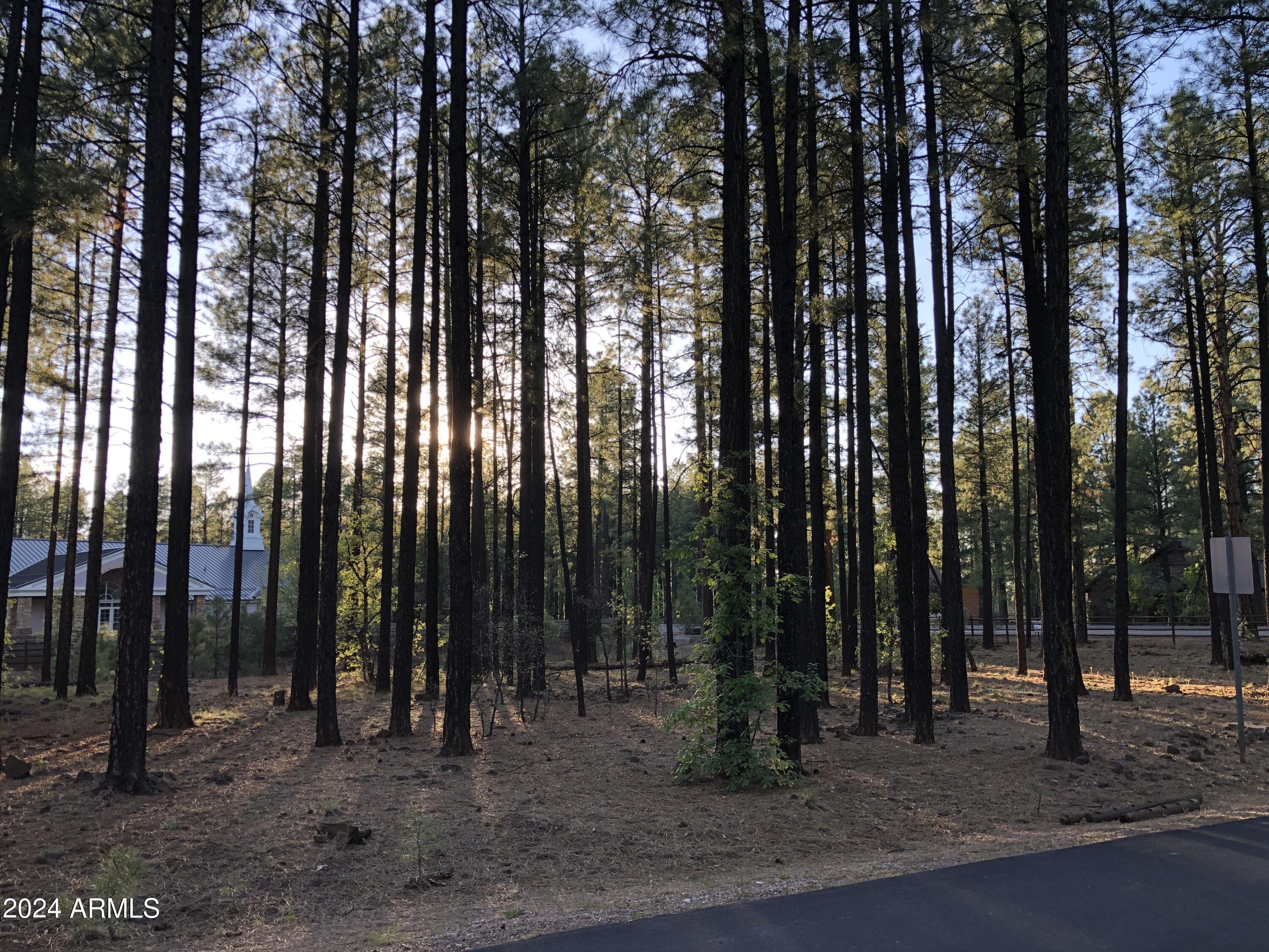 2522 Timber Ridge Lane, Unit 2 Pinetop, AZ 85935 - Photo 2 of 5 IMG_7004 2