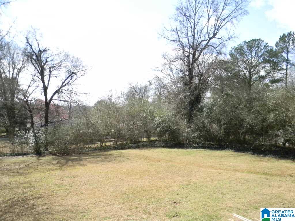 207 Snake Hill Road Trussville, AL 35173 - Photo 26 of 27