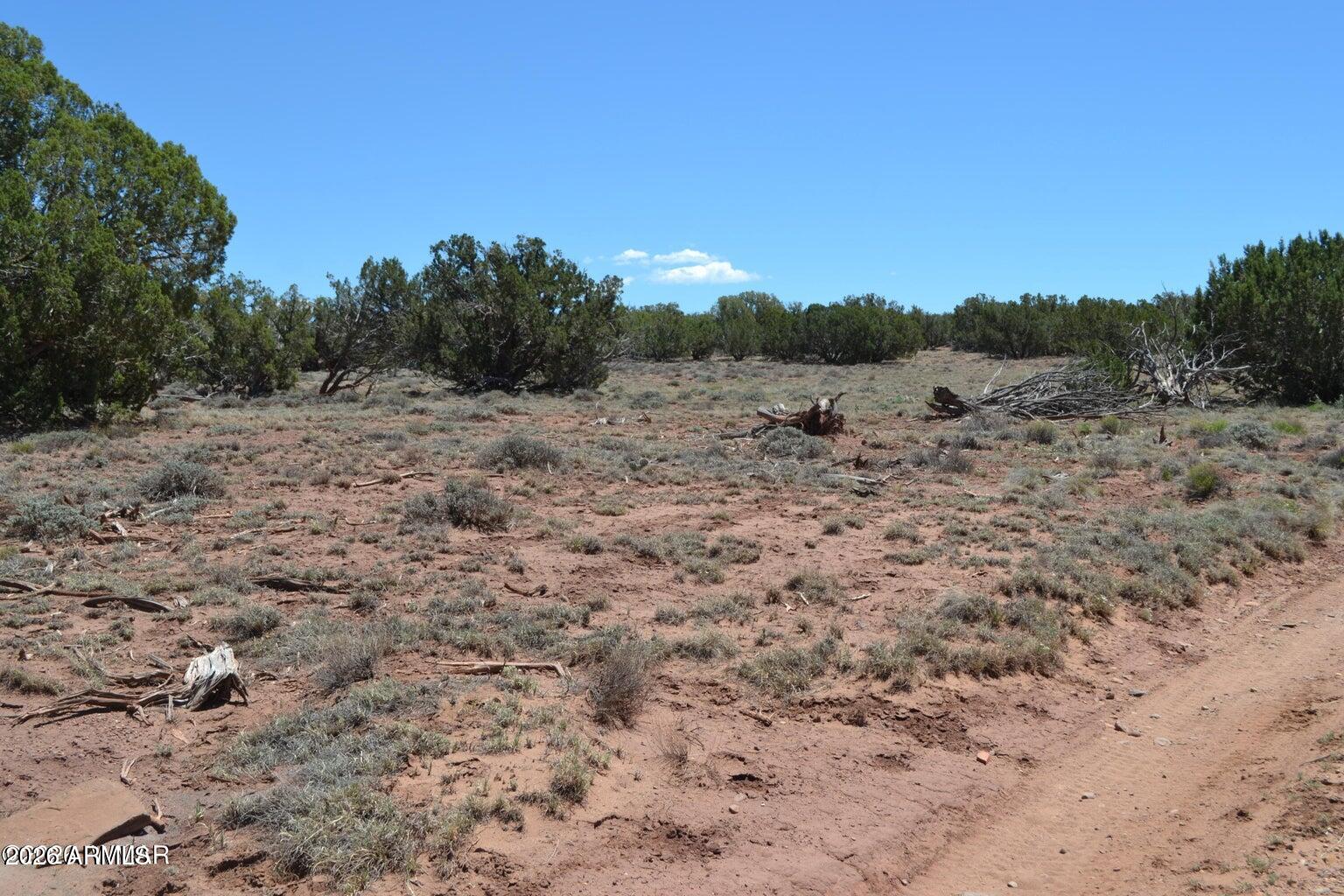 N8604 N8604, Unit 1 Concho, AZ 85924 - Photo 2 of 8 2