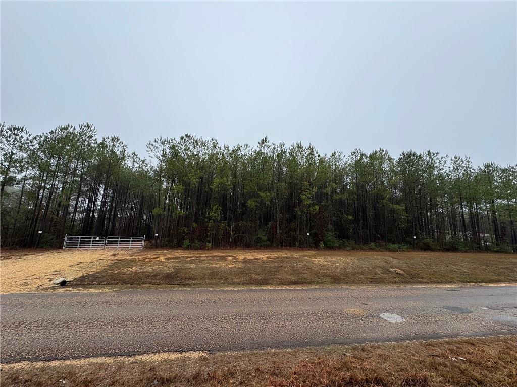 1170 Old Liberty Road McComb, MS 39648 - Photo 2 of 8