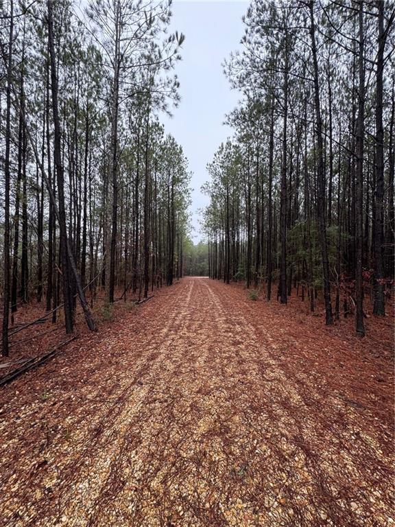 1170 Old Liberty Road McComb, MS 39648 - Photo 4 of 8