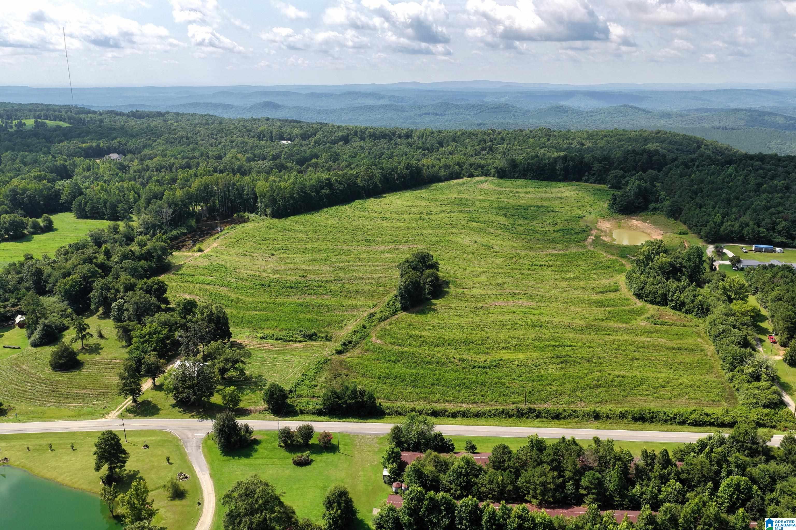 0 County Highway 27, Unit 47 Springville, AL 35146 - Photo 9 of 53