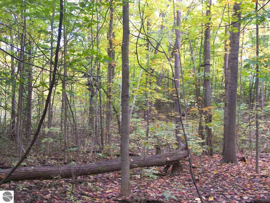 2593 Nelson Road Traverse City, MI 49686 - Photo 77 of 90 1791273-76.JPG