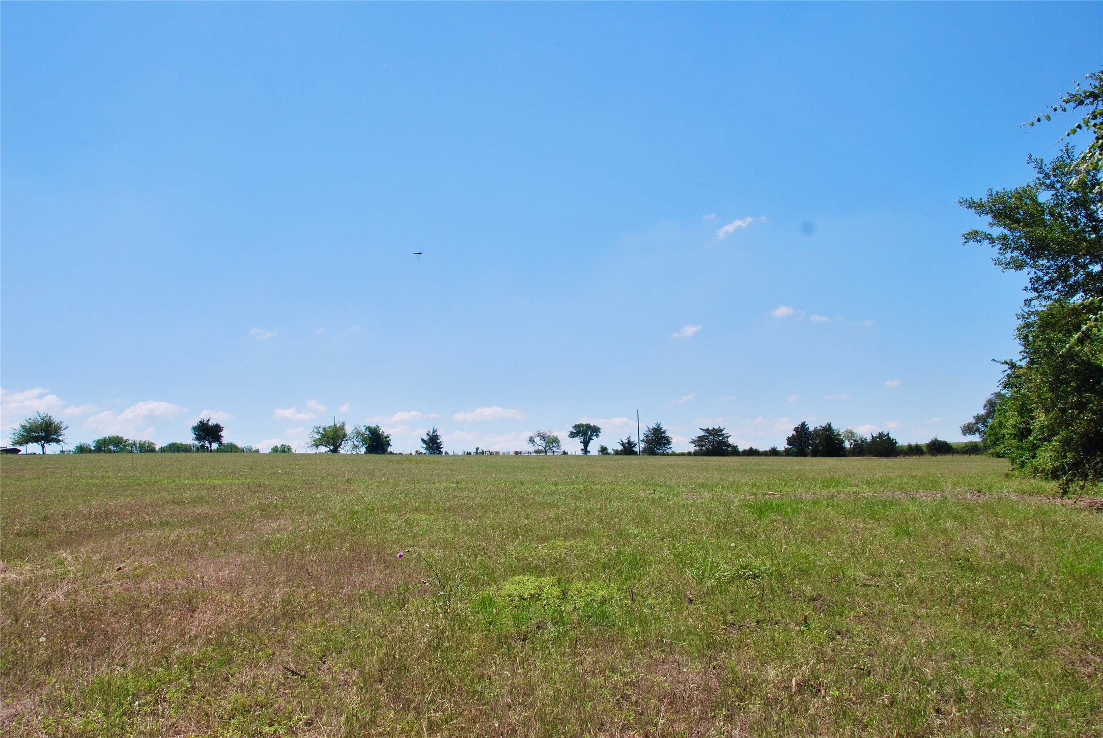 1049 Muehr Road Weimar, TX 78962 - Photo 17 of 24 a view of a lake